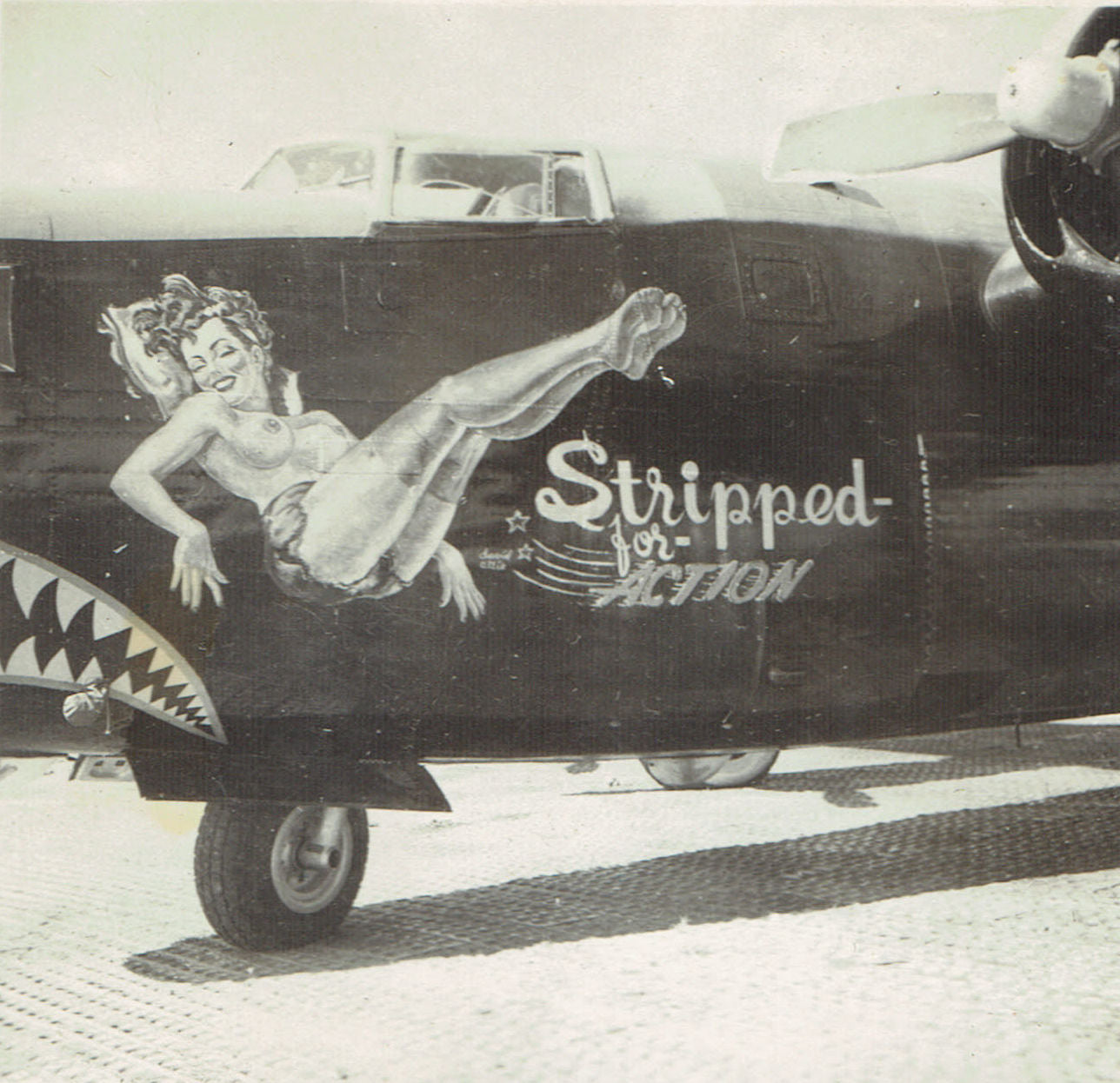 Stripped for Action